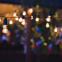 Garden Party Lighting